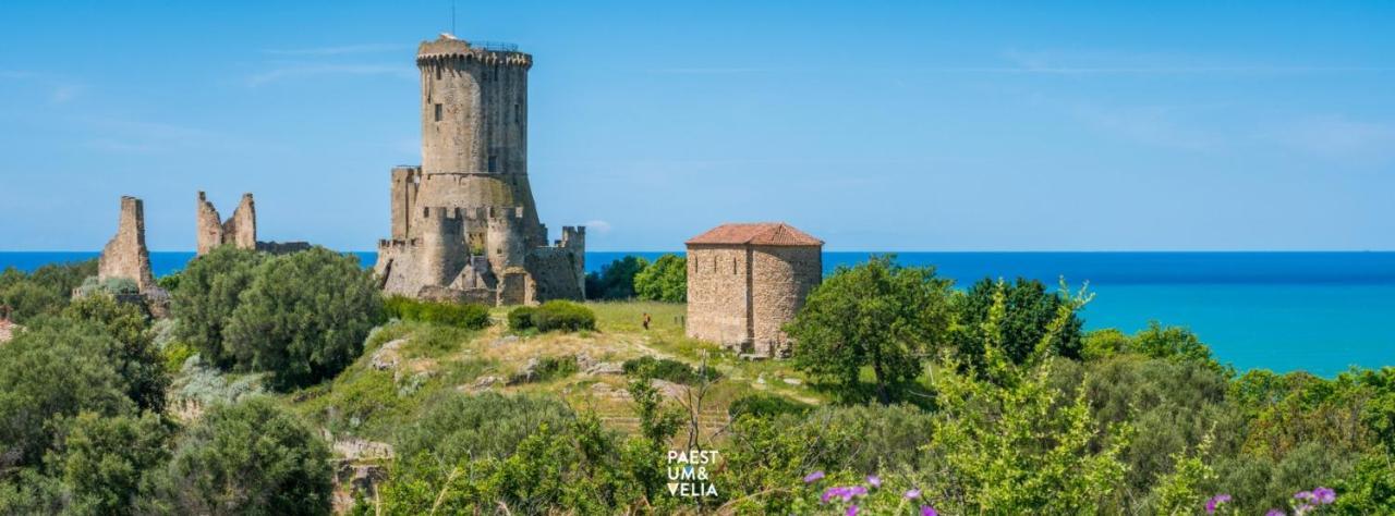 Apartamento Cilento Relax San Marco Castellabate Jml San Marco di Castellabate Exterior foto